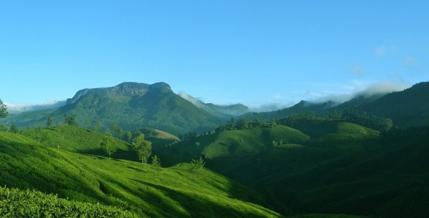 Munnar Tea Gardens